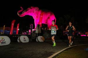 BIB: 
                            <button type="button" onclick="openModal(26534190)" class="btn btn-primary btn-sm float-right btn-popup" data-toggle="modal" data-target=".modal-high-quality">
                        <i class="fas fa-shopping-cart"></i> Add to Cart
                    </button>
                                            <button type="button" onclick="isThisMe(26534190, true)" class="btn btn-success btn-sm float-right btn-popup btn-isme hidden" data-toggle="tooltip" data-placement="bottom" title="นี่คือรูปของคุณใช่ไหม คลิกที่นี่เพื่อเอาเข้าอัลบั้ม">
                        <i class="fas fa-plus"></i> Add to album
                    </button>
                    <button type="button" onclick="isThisMe(26534190, false)" class="btn btn-warning btn-sm float-right btn-popup btn-isnotme hidden">
                        <i class="fas fa-ban"></i> Remove from album
                    </button>